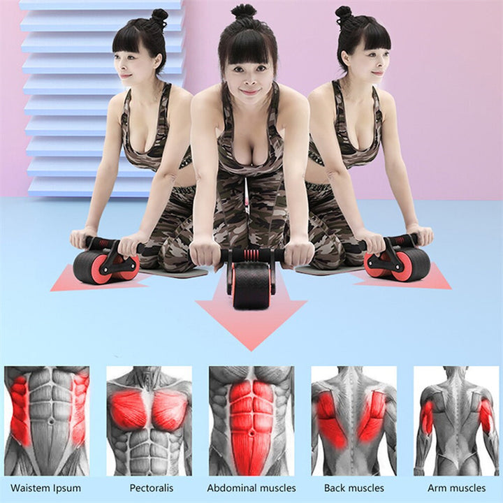 AB Roller